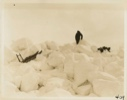 Image of Sledging on Rough Ice